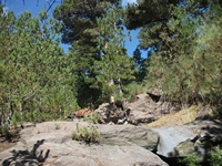 rrente Quarantore-20110911 093